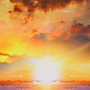 Meet your Posher, Ronald